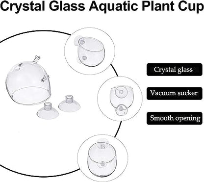 PetzLifeWorld Polka Plant Pot for Aquarium Fish Tank | Carpet Plants Planting Glass Pot | Crystal Clear Glass Pot with with Strong Suction Cup