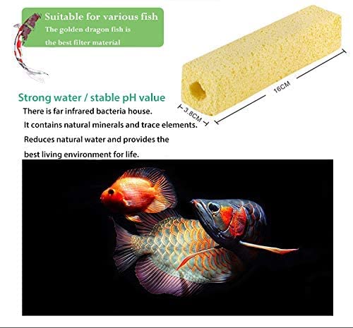 Petzlifeworld Aquarium Filter Media,Fish Tank Ceramic Bio Media Blocks - Koi Pond Aquaculture (Mini Square - 10Cm)