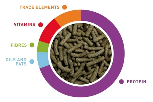 WA Turtle Tortoise Nutra Feed Floating Food Sticks, 500ML by petzlifeworld