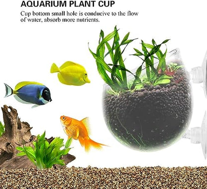 PetzLifeWorld Polka Plant Pot for Aquarium Fish Tank | Carpet Plants Planting Glass Pot | Crystal Clear Glass Pot with with Strong Suction Cup