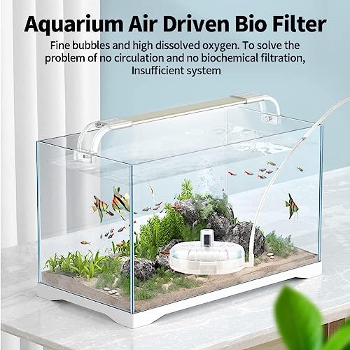 Nepall Aquarium Mini Bio Sponge Nano Fish Tank and Bowl Filter | Ultra Thin Transparent Filter with BioSponge,Media and Airstone | Easy to Clean (NX-300 | 8Cm*5Cm)