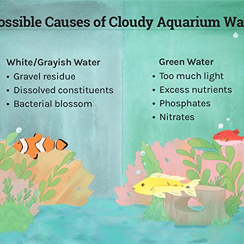 How To Get CRYSTAL CLEAR Aquarium Water - No More Cloudy Water! 