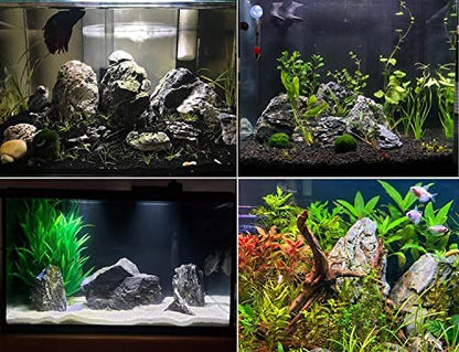 Petzlifeworld Premium Seiryu Rock – Natural River Rock for Aquascaping, Terrariums & Freshwater Aquariums