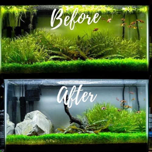 Aquatic Remedies Aquarium Fish Tank Ultra Clear Flocculant Water Clarifier | Quickly Removes Cloudiness | Makes Crystal Clear Fish Tanks (120 ML)