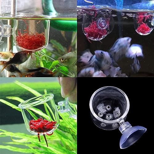 Petzlifeworld Premium Glass Live Blood Worms Feeding Cone with Sucker for Aquarium Fish Tank | Easy to Feed Live Worms Without Making You Tank Messy (PinHole Type Feeder)