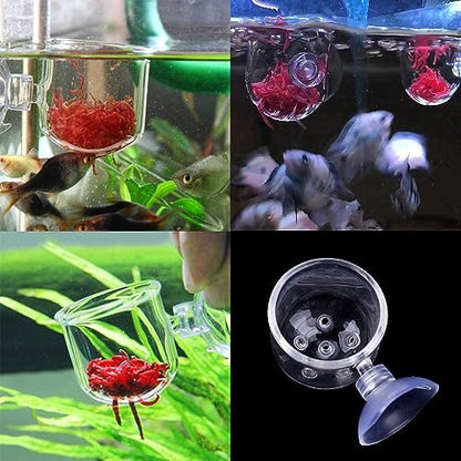 Petzlifeworld Premium Glass Live Blood Worms Feeding Cone with Sucker for Aquarium Fish Tank | Easy to Feed Live Worms Without Making You Tank Messy (PinHole Type Feeder)