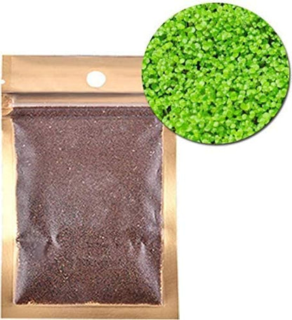Petzlifeworld Fish Tank Decoration Carpet Live Plant Seeds for Planted Aquarium (Pack of 4) by Petzlifeworld