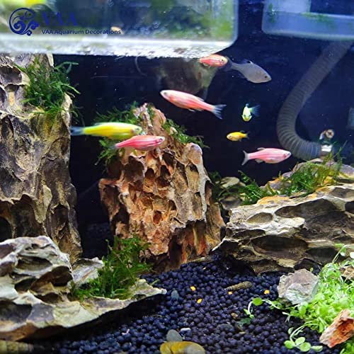 PetzLifeworld Dragon Rock – Premium Natural Stone for Planted Aquariums & Aquascaping | Hardscape Décor for Fish Tanks & Terrariums