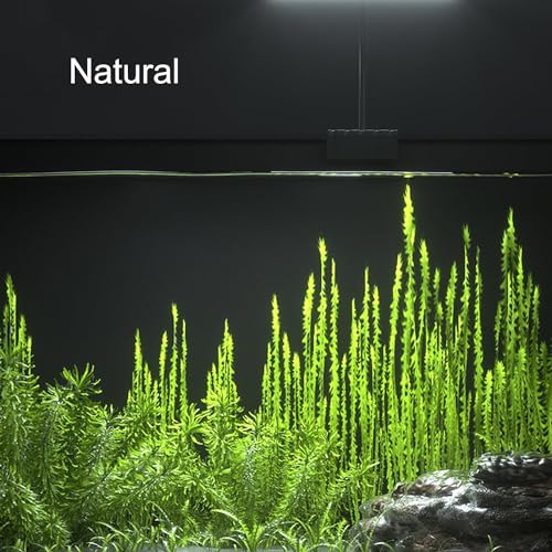 RS Electricals RS-S13 | 12 Watts Clip On Back Full Spectrum Planted Aquarium LED Light | 360 Degree | Flexible Head | Suits for 30-40 Cm Tank