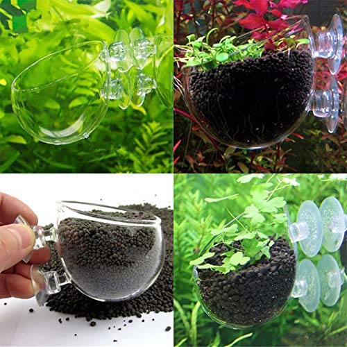 PetzLifeWorld Polka Plant Pot for Aquarium Fish Tank | Carpet Plants Planting Glass Pot | Crystal Clear Glass Pot with with Strong Suction Cup