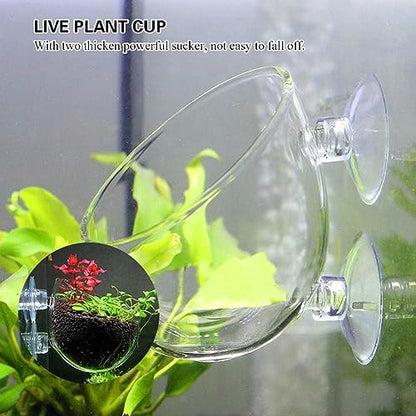 PetzLifeWorld Polka Plant Pot for Aquarium Fish Tank | Carpet Plants Planting Glass Pot | Crystal Clear Glass Pot with with Strong Suction Cup