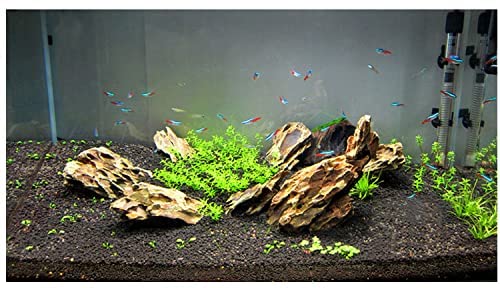 PetzLifeworld Dragon Rock – Premium Natural Stone for Planted Aquariums & Aquascaping | Hardscape Décor for Fish Tanks & Terrariums