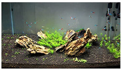 PetzLifeworld Dragon Rock – Premium Natural Stone for Planted Aquariums & Aquascaping | Hardscape Décor for Fish Tanks & Terrariums