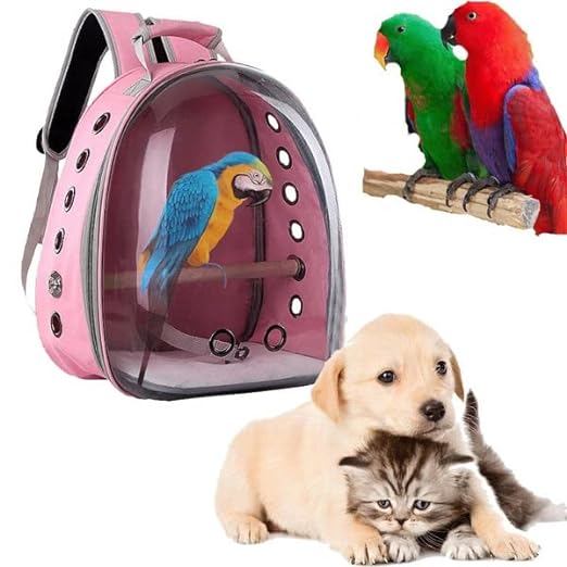 Petzlifeworld Breathable Transparent Carrier Travel Backpack for Small Puppy, Cat & Birds (Random Color)