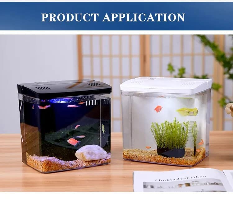 Bluepet Mini Square Shape Aquarium Small Desktop Home Decortive Fish Tank with USB Connector, Multi Mode LED Light, Ultra Silent Pump for Small Fishes (BL 04 ,Size : 20x14x20CM)