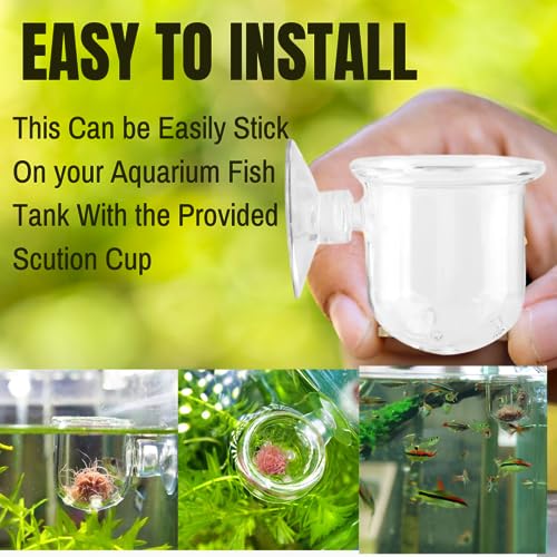Petzlifeworld Premium Glass Live Blood Worms Feeding Cone with Sucker for Aquarium Fish Tank | Easy to Feed Live Worms Without Making You Tank Messy (PinHole Type Feeder)