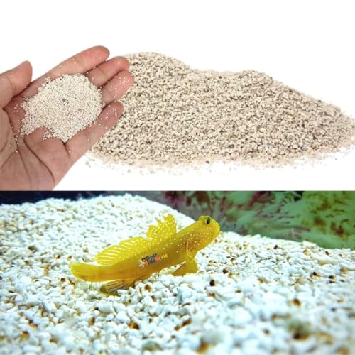 Petzlifeworld Aroganite Base Natural White Sand Suitable for Marine and Cichlid Tank