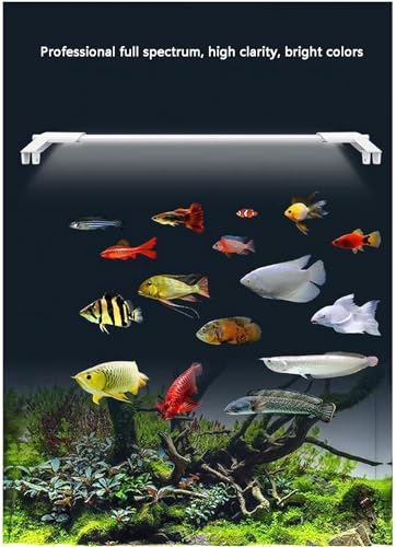 PetzLifeworld Ultra Slim and Thin White Frame Full Spectrum SL-60 | 17 Watts | Suitable for 55-65 Cm Tank | 2 Feet Aquarium Fish Tank LED Light