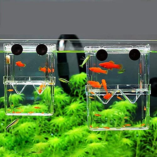 YEE Aquarium Fish Guppy Double Deck Breeding Box, Isolation Box For Fish (Large, Rust Resistant, Pack of 1)