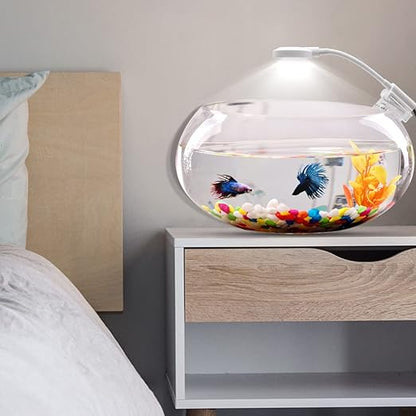 Fish Tank In Bedroom Petzlifeworld Aquarium Nano Mini Small Fish