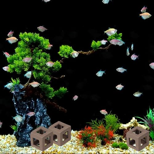PetzLifeWorld 3 Pcs Mini Cube Hide Out Clay Decoration for Aquarium Fish Tank Shrimp | Shrimp Shelter | Natural Clay Material | No Harm to Fish and Shrimp | 2 * 2 * 2 CM