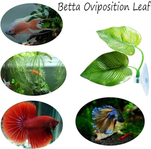 Petzlifeworld 2 Pcs Double Leaf Betta Rest Area Plant Pad Simulating The Natural Habitat for Betta Spawning Grounds Breeding Bed | BPA Free | Safe For Fish