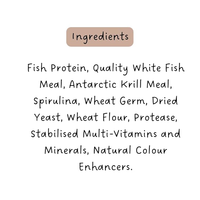 Ocean Free XO Green (Original) Fish Food, 280ML/100G | Increase Head Growth and Shape for Flowerhorn Fish by Petzlifeworld