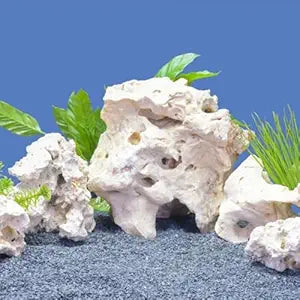 PetzLifeworld Natural White Sansibar Stone – Premium Aquarium Decoration for Marine & Cichlid Fish Tanks