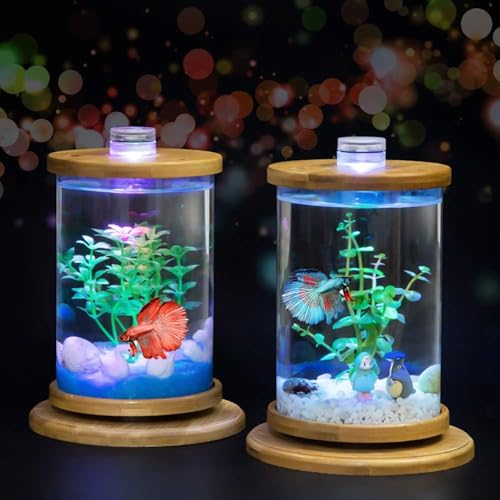 PetzLifeworld Mini Glass Cyl Shape Wooden Bamboo Base 360 Degree Rotating Closed Deskop, Table Home Decoration Bowl Aquarium Fish Tank with Top LED Light for Betta | 15CM*10CM