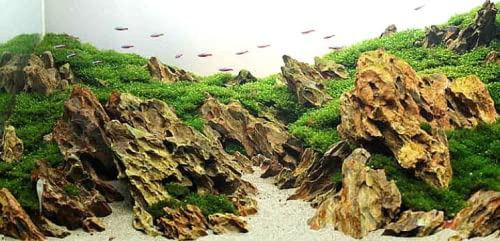 PetzLifeworld Dragon Rock – Premium Natural Stone for Planted Aquariums & Aquascaping | Hardscape Décor for Fish Tanks & Terrariums