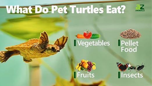 WA Turtle Tortoise Nutra Feed Floating Food Sticks, 500ML by petzlifeworld