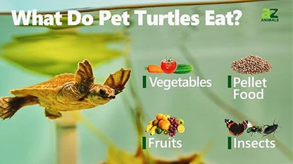 WA Turtle Tortoise Nutra Feed Floating Food Sticks, 500ML by petzlifeworld
