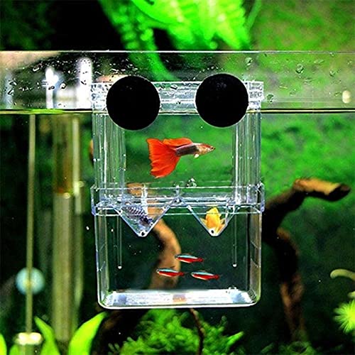 YEE Aquarium Fish Guppy Double Deck Breeding Box, Isolation Box For Fish (Large, Rust Resistant, Pack of 1)