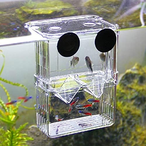 YEE Aquarium Fish Guppy Double Deck Breeding Box, Isolation Box For Fish (Large, Rust Resistant, Pack of 1)