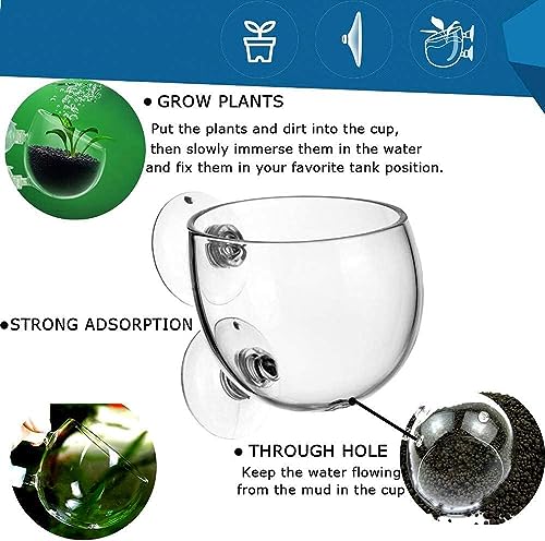 PetzLifeWorld Polka Plant Pot for Aquarium Fish Tank | Carpet Plants Planting Glass Pot | Crystal Clear Glass Pot with with Strong Suction Cup