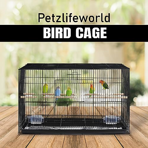 PetzLifeworld 1.5 Feet (18 Inch ) Small Birds Cage Birds Cage For Budgies, Finches, Love Birds, Cocktails, Conures & All Small Birds With Free Hanging Toys