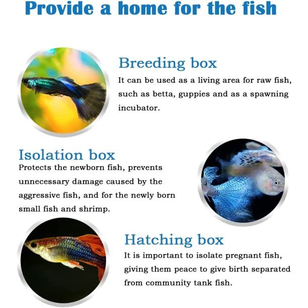 Boyu Aquarium Fish Breeding, Isolation, Hatchery Box for Fish Fry Net Box  (Large NB-3202A Double with Bottom Tray)