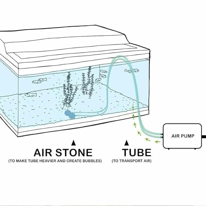 Sunsun CT-101 | 3W | 1.5L/Min Air Volume Adjustable Aquarium Oxygen Air Pump with 2 Meter Air Tube and 1 Air Stone for Aquarium Fish Tank (1 Way)
