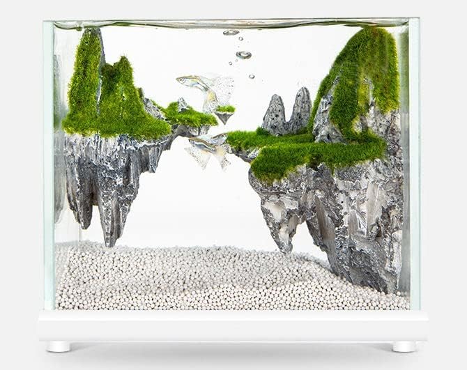 Petzlifeworld Aroganite Base Natural White Sand Suitable for Marine and Cichlid Tank