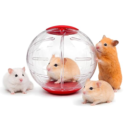 Petzlifeworld Large Hamster Exercise Ball 12CM Transparent Running Ball | Safe Lock Design | Small Animal Exercise Toy for Syrian Hamsters, Mice & Rodents | Cage Accessories & Play Toy
