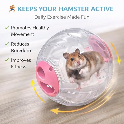 Petzlifeworld Large Hamster Exercise Ball 12CM Transparent Running Ball | Safe Lock Design | Small Animal Exercise Toy for Syrian Hamsters, Mice & Rodents | Cage Accessories & Play Toy