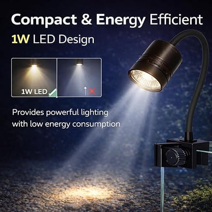 Petzlifeworld Mini LED Aquarium Spotlight 1W | Adjustable Focus Warm Light | Waterproof Submersible Lamp for Fish Tank & Aquarium Plants | Compact Clip-On Design Brand: VAYINATO