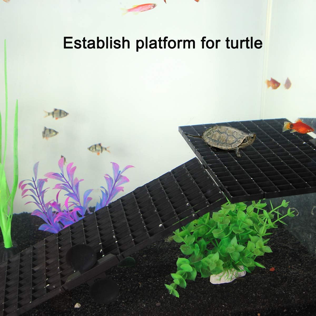 Petzlifeworld Black Fish Tank Divider Plastic Aquarium Divider Panel Separator Grid Isolation Board with Free Divider Clip