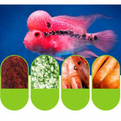 Ocean Free XO Green (Original) Fish Food, 280ML/100G | Increase Head Growth and Shape for Flowerhorn Fish by Petzlifeworld