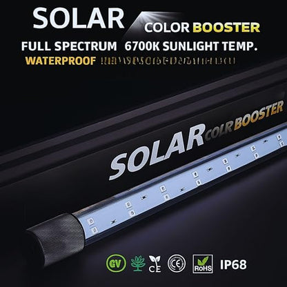 Bluepet Solar Colour Booster Aquarium LED Light – Tanning Pro Fish Color Enhancing Lamp | Professional Aquarium Lighting for Arowana, Channas, Cichlids, Flowerhorn by petzlifeworld