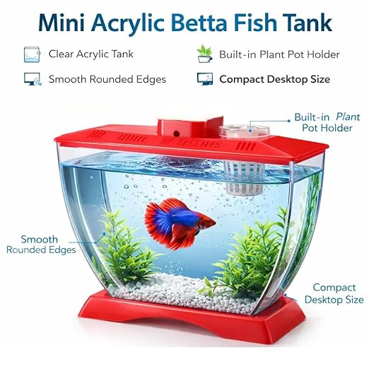 petzlifeworld Mini Acrylic Betta Fish Tank with Plant Pot Holder | Clear Acrylic | 22×12×15 cm | Desktop Nano Tank for Betta & Small Fish | Kid Safe, Beginner Friendly | Random Colour