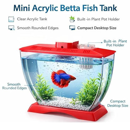 petzlifeworld Mini Acrylic Betta Fish Tank with Plant Pot Holder | Clear Acrylic | 22×12×15 cm | Desktop Nano Tank for Betta & Small Fish | Kid Safe, Beginner Friendly | Random Colour