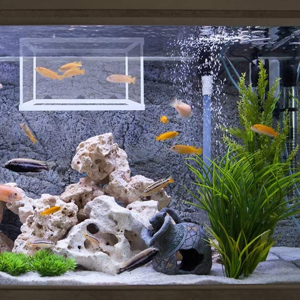 Boyu Aquarium Fish Breeding, Isolation, Hatchery Box for Fish Fry Net –  PetzLifeWorld