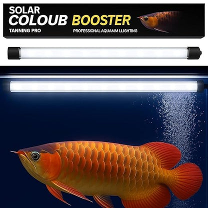 Bluepet Solar Colour Booster Aquarium LED Light – Tanning Pro Fish Color Enhancing Lamp | Professional Aquarium Lighting for Arowana, Channas, Cichlids, Flowerhorn by petzlifeworld
