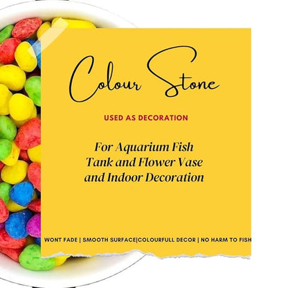 Petzlifeworld Decorative Mixed Peables Colour Stone for Aquarium Fish Tank and Indoor Home Decoration and Garden Decor